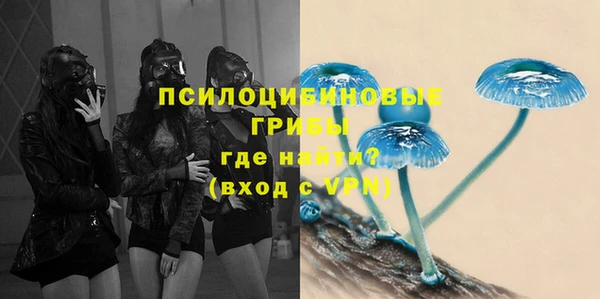 эйфоретик Верея