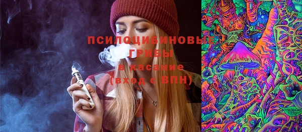 дживик Бородино